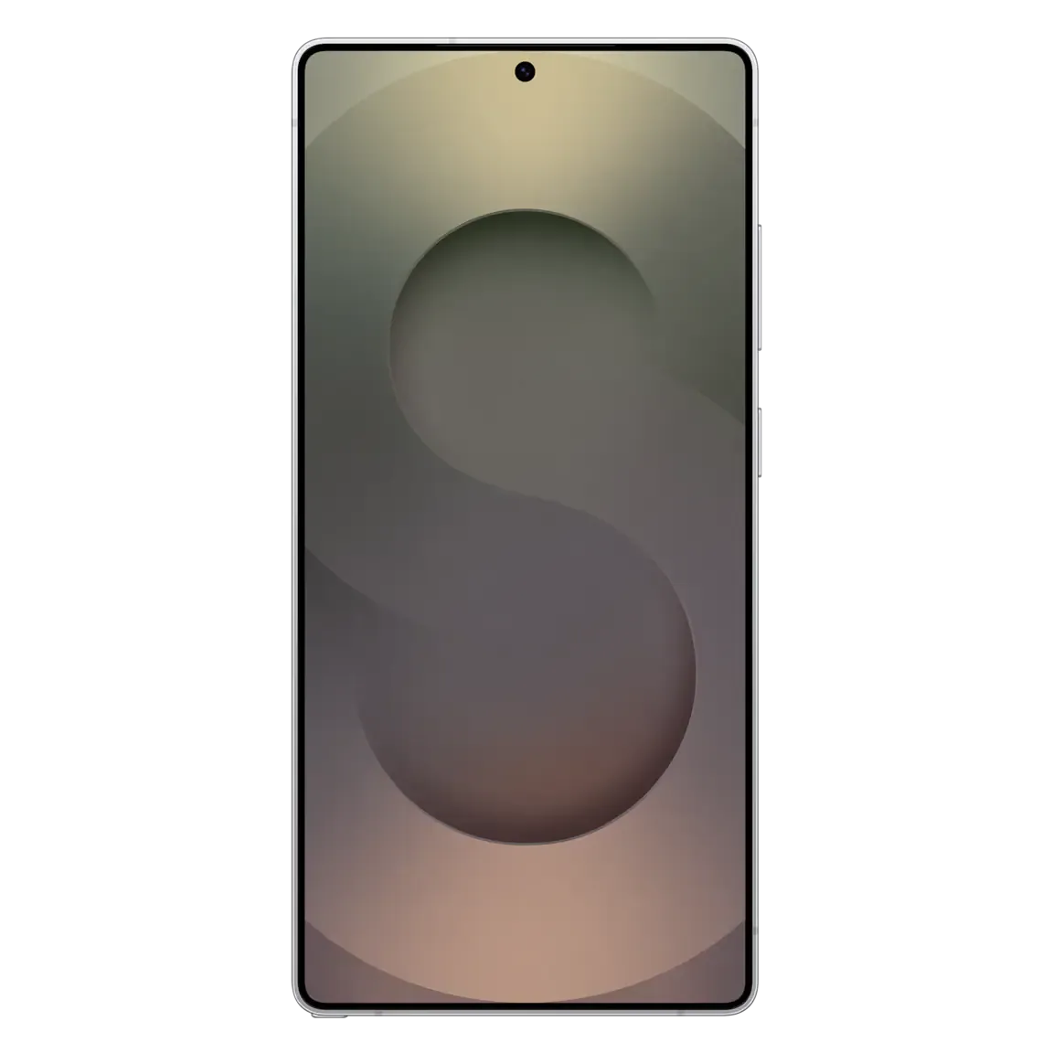 티타늄화이트실버 2